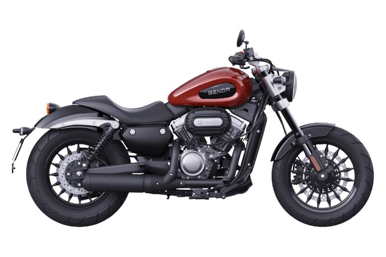 Cruiser Chinchilla 300